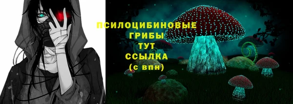 2c-b Верхний Тагил
