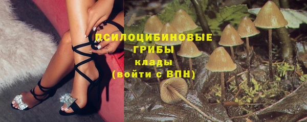 каннабис Верея