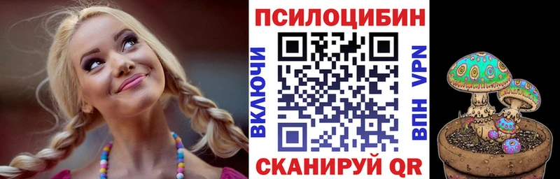 Галлюциногенные грибы Magic Shrooms  продажа наркотиков  Орехово-Зуево 